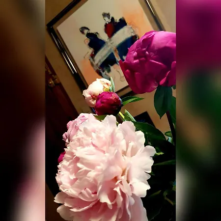 Om'sleeping فندق مبيت وإفطار 3*