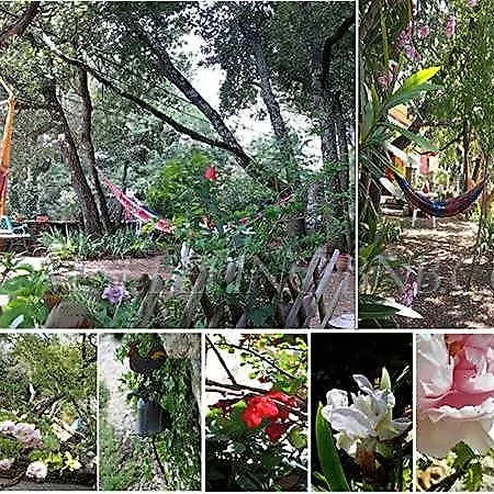 Bed & Breakfast Om'sleeping Laudun