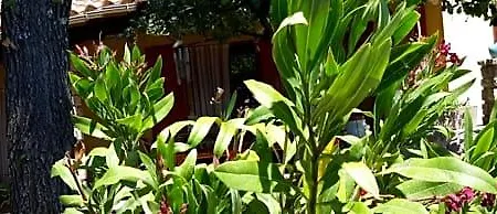 Om'sleeping Bed & Breakfast Laudun