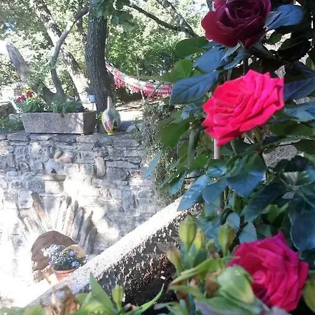 Om'sleeping فندق مبيت وإفطار 3*