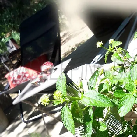 Om'sleeping فندق مبيت وإفطار 3*