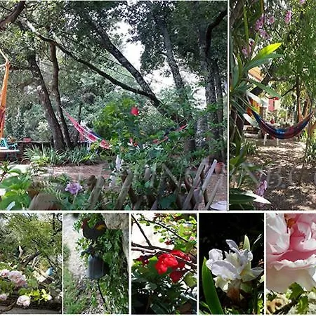 Om'sleeping Bed & Breakfast