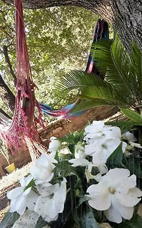 فندق مبيت وإفطار Om'sleeping Laudun